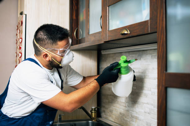 Pest Control Cost in Penn State Erie, PA