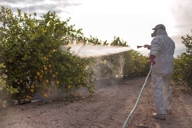 Best Pest Control Near Me  in Penn State Erie, PA