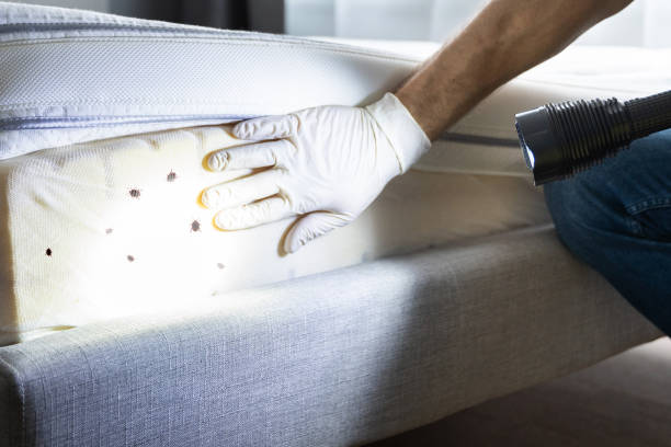 Best Exterminator Services  in Penn State Erie, PA