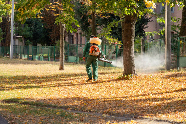 Best Wasp Removal Services  in Penn State Erie, PA