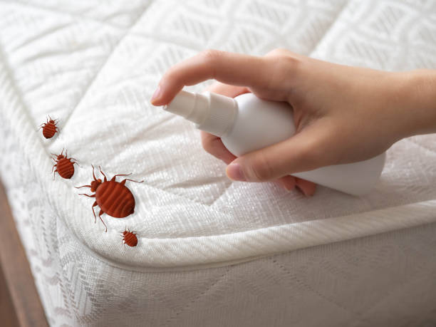 Best Residential Pest Control  in Penn State Erie, PA