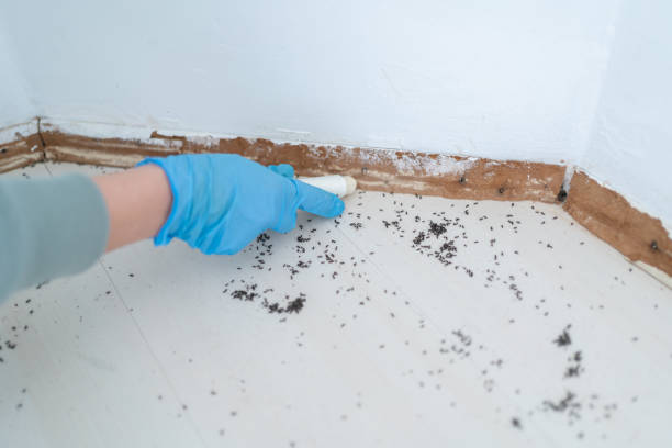 Best Insect Control  in Penn State Erie, PA