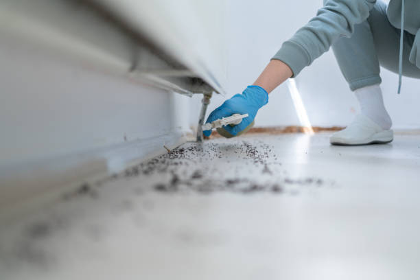 Penn State Erie, PA Pest Control Company